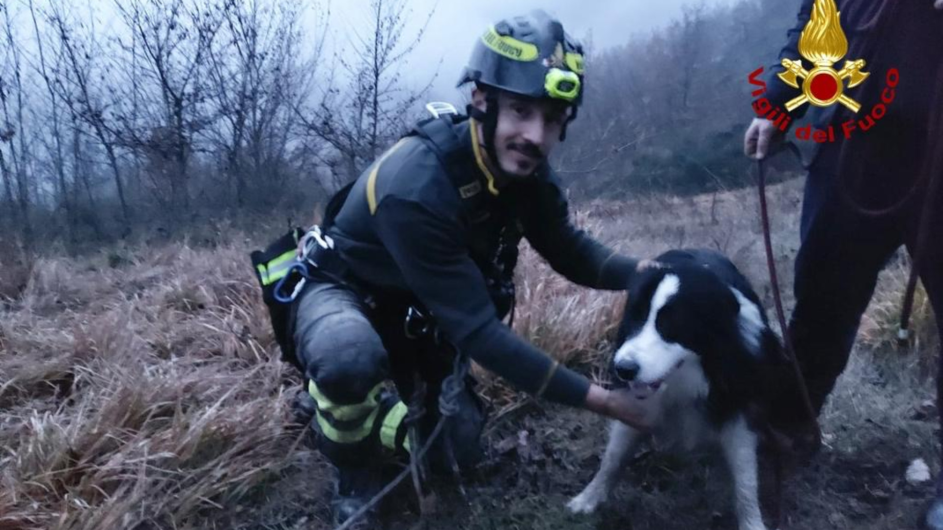 Ceci di Bobbio, cane precipita in un dirupo: salvato dai vigili del fuoco
