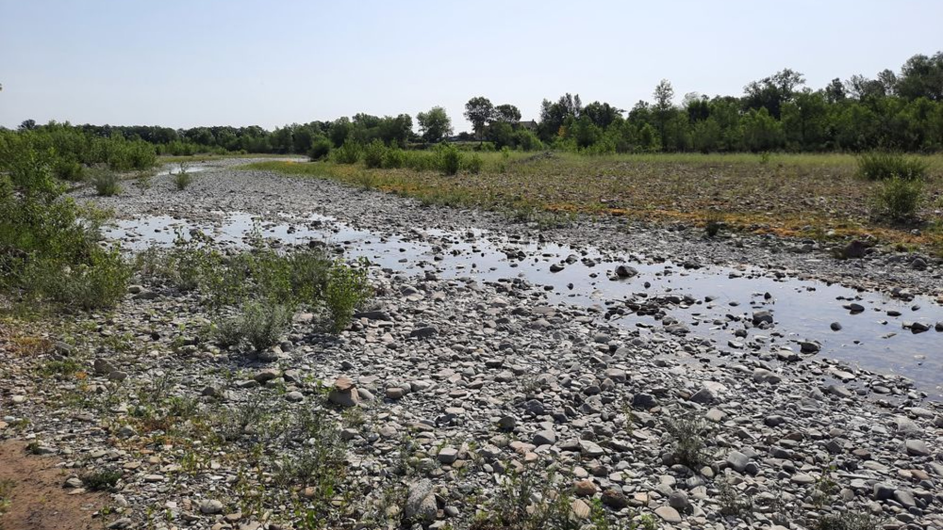 Petizione No Tube. "Meno uso di acqua, servono coltivazioni e abitudini diverse"
