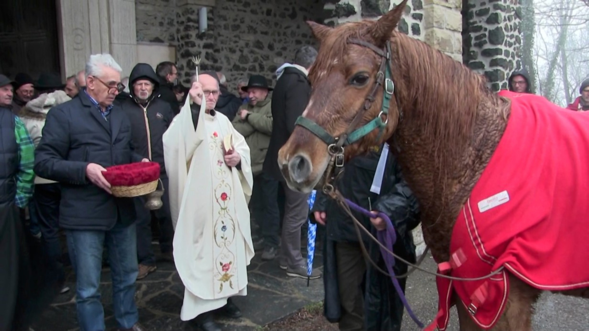 A Groppallo si rinnova la tradizione: animali benedetti per celebrare Sant'Antonio