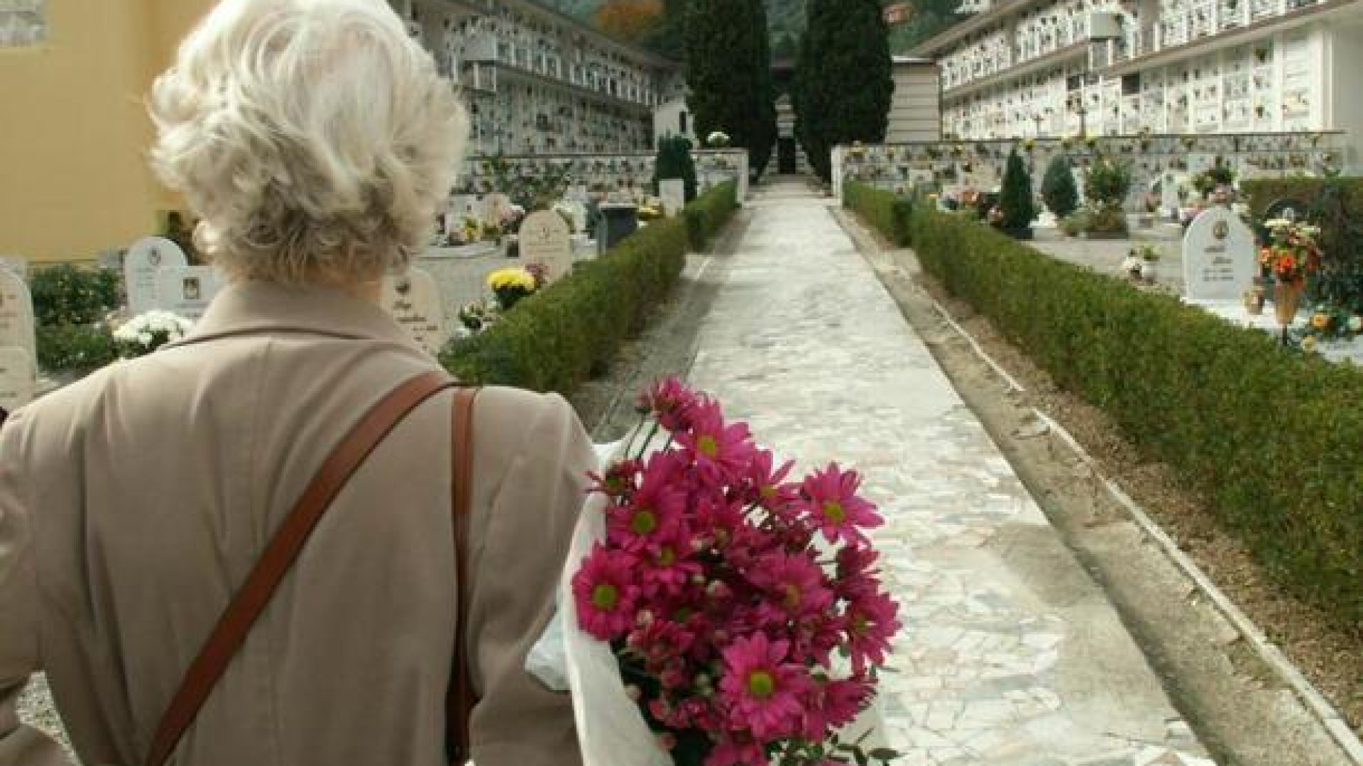Accusata dalla suocera di aver tolto i fiori dalla tomba del figlio: assolta