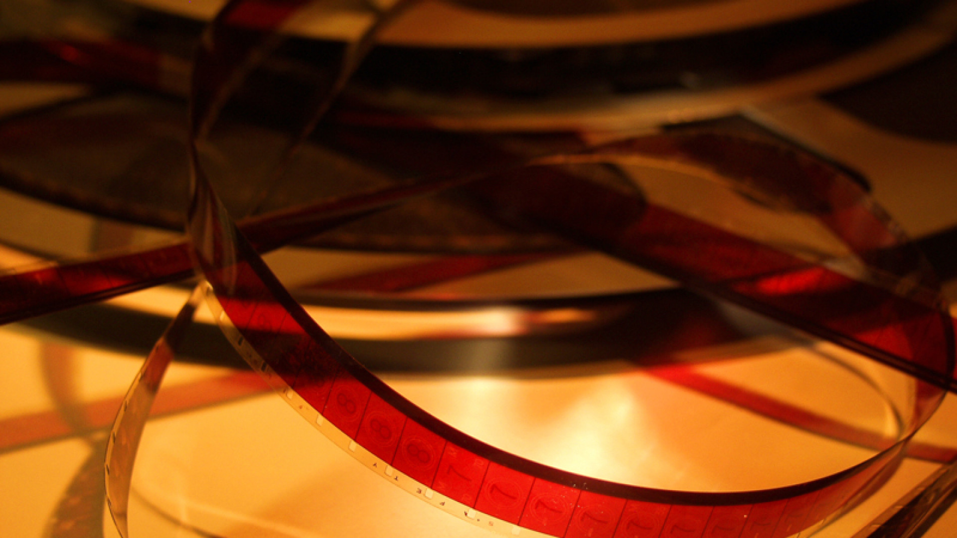 Dal 1° luglio cinema all’aperto all’arena Daturi. Proiezioni anche il sabato