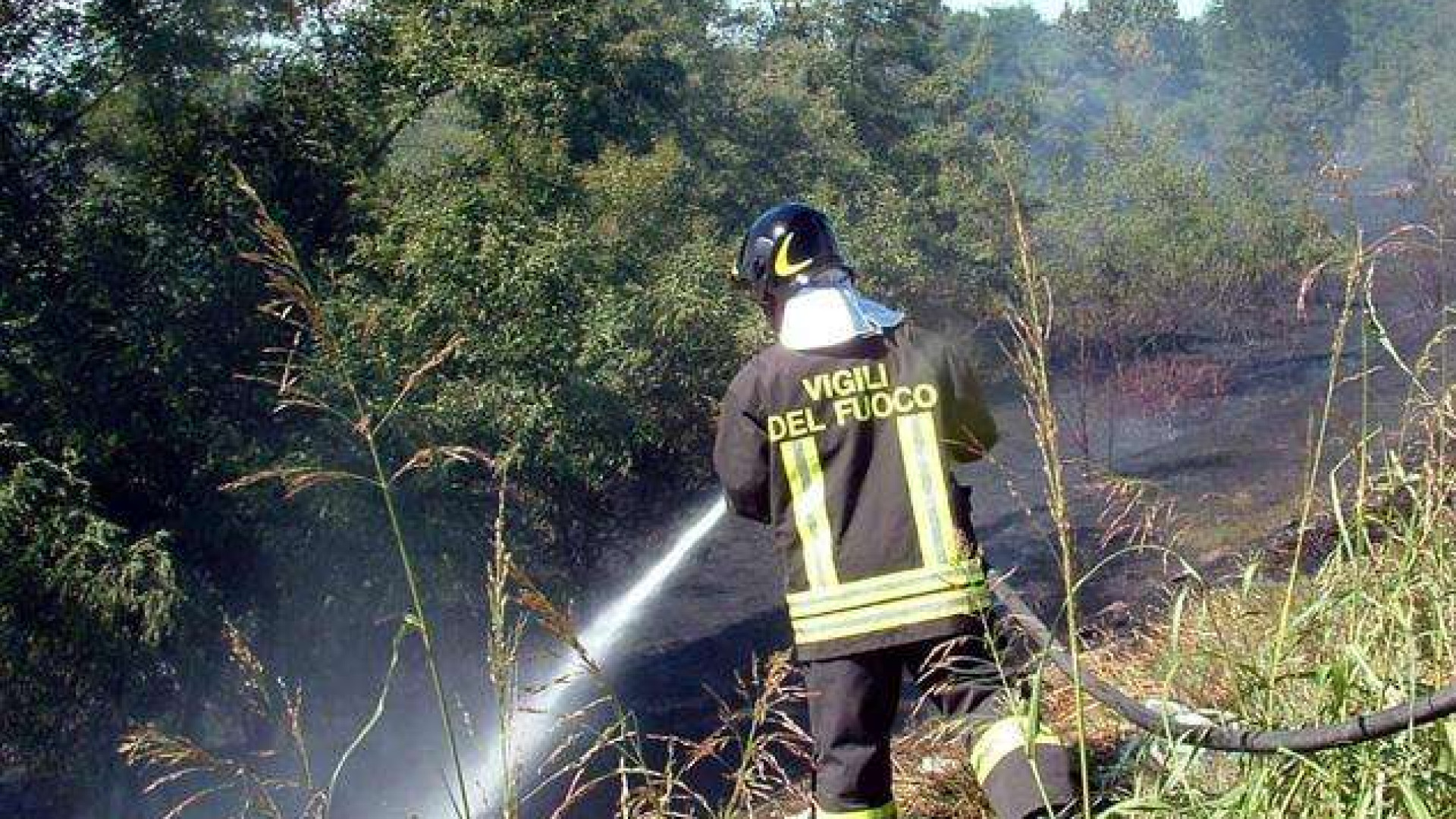 Brucia un bosco in Val Taro, i pompieri di Piacenza corrono in aiuto