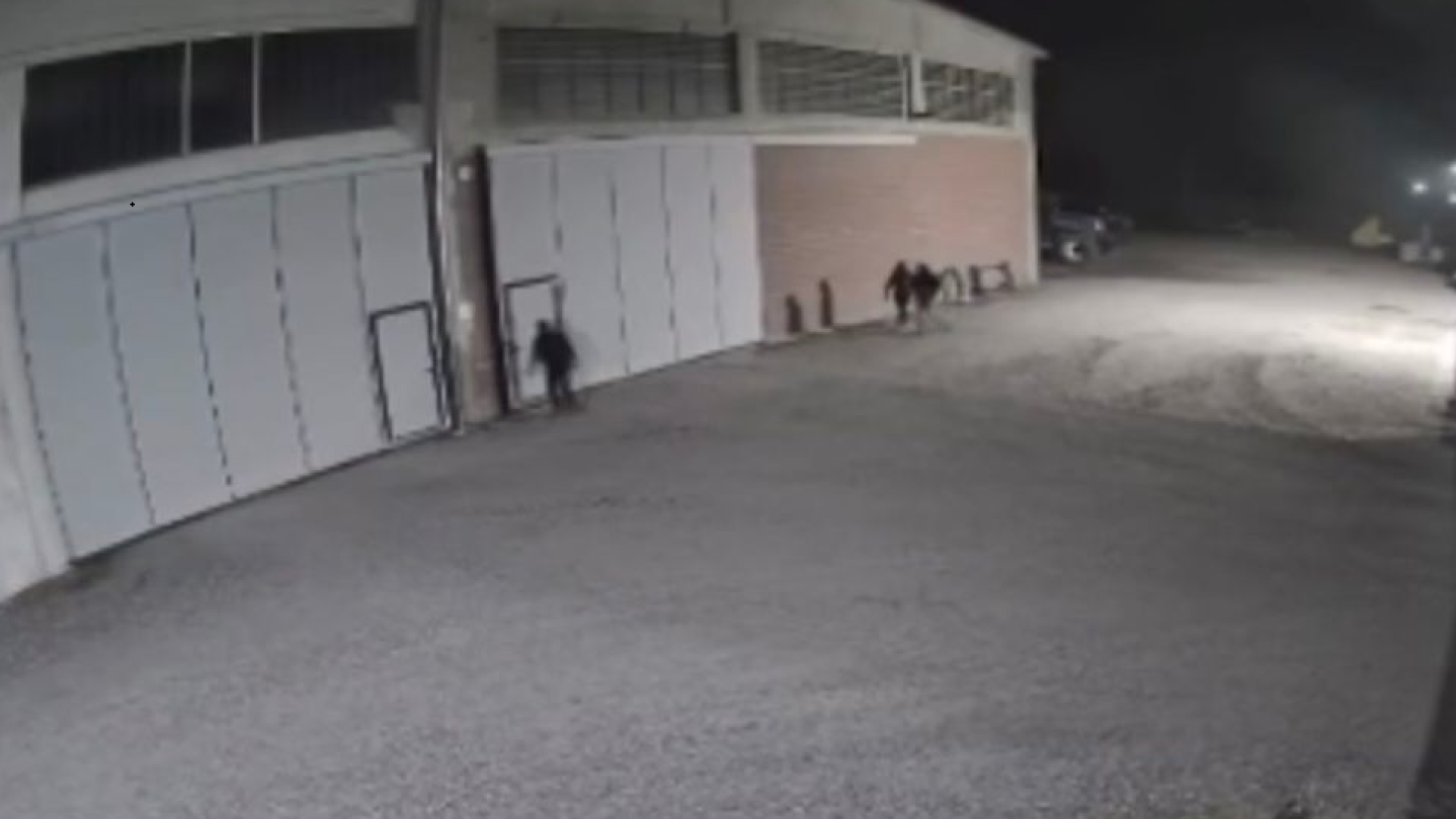 Castelvetro, furto da 80mila euro in una ditta: rubati navigatori per uso agricolo