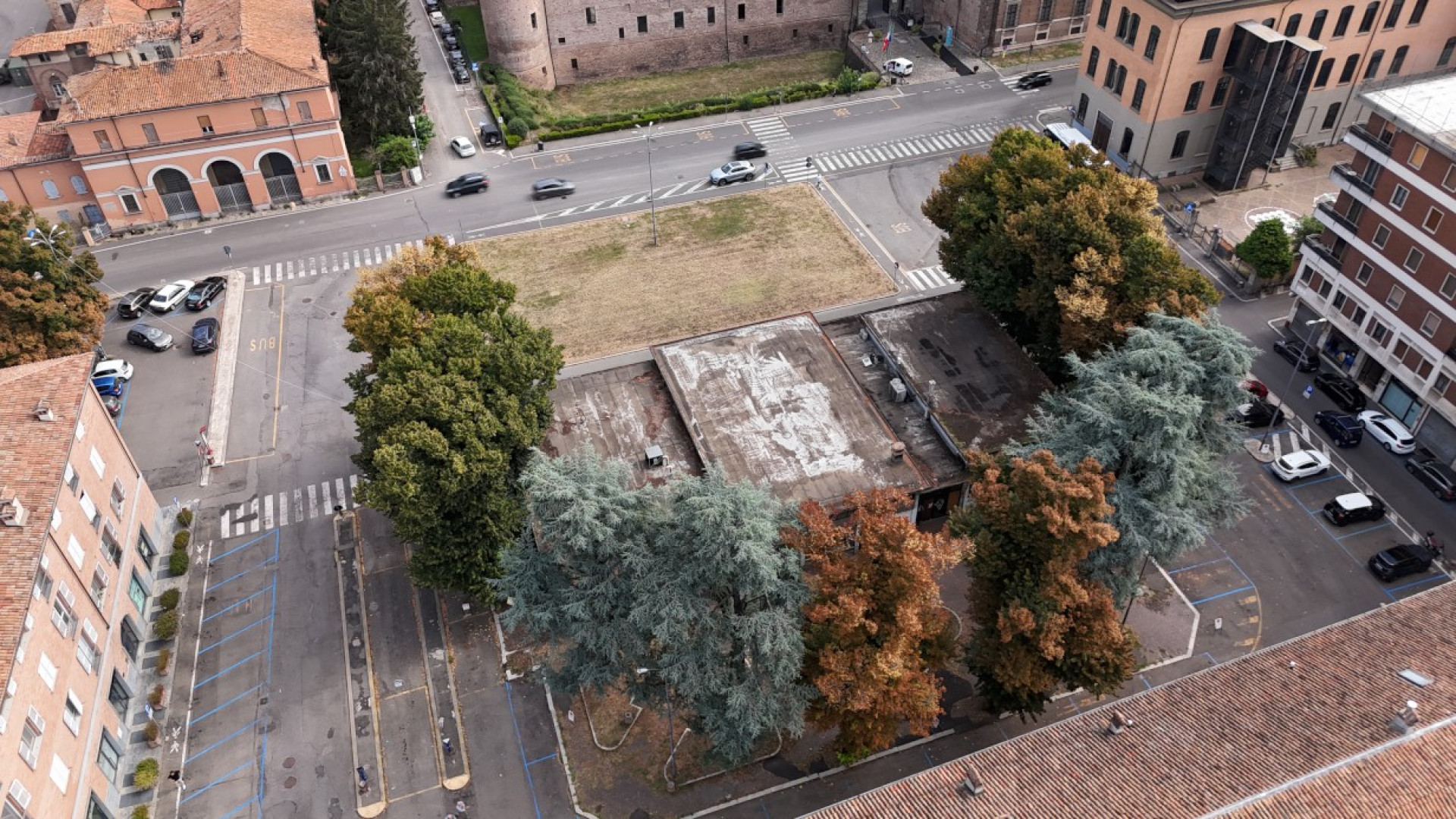 Ricorso contro l'eliminazione delle piante in Cittadella: udienza il 10 settembre