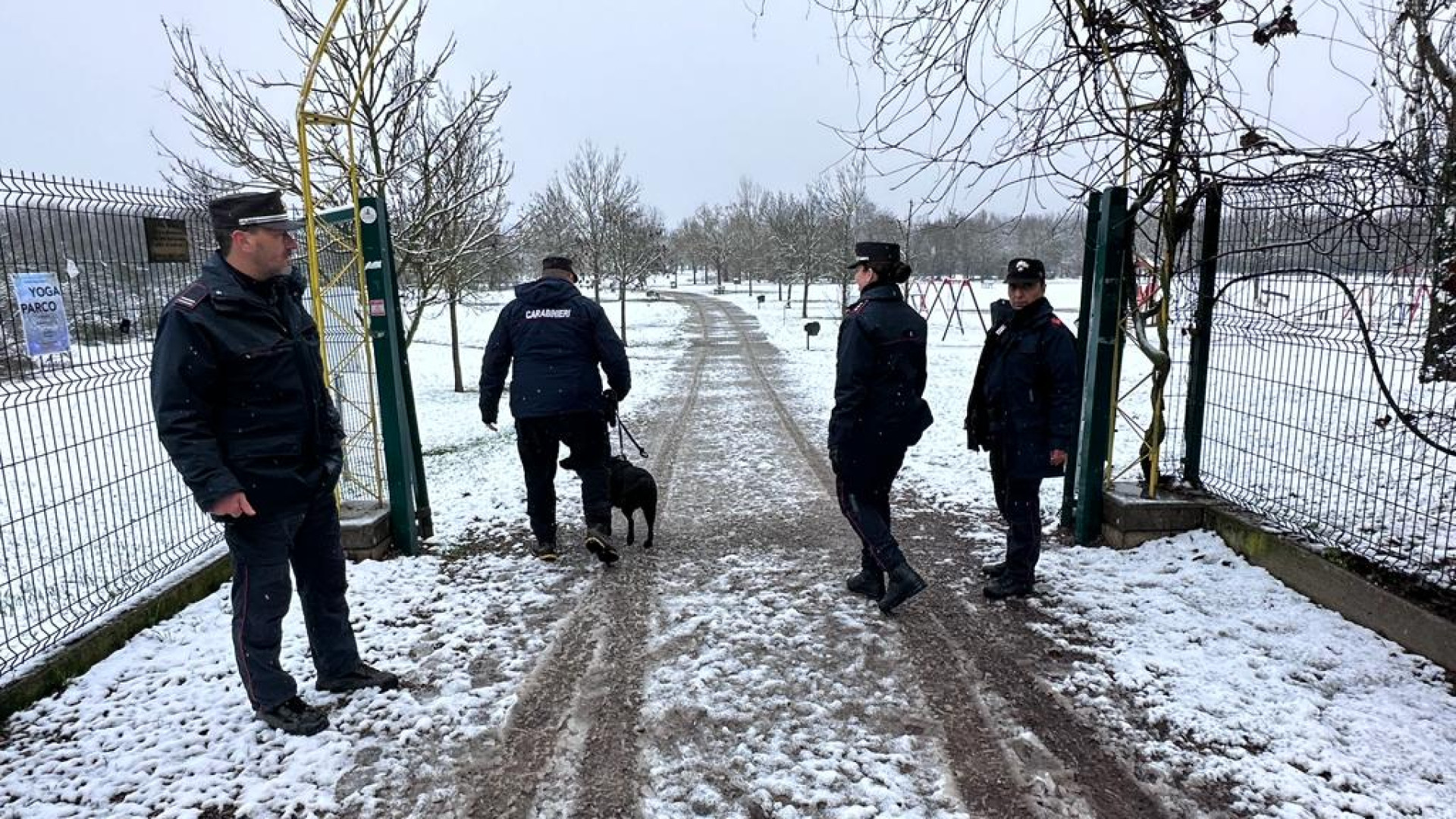 Il cane carabiniere Alma in cerca di bocconi avvelenati. Diverse segnalazioni in città