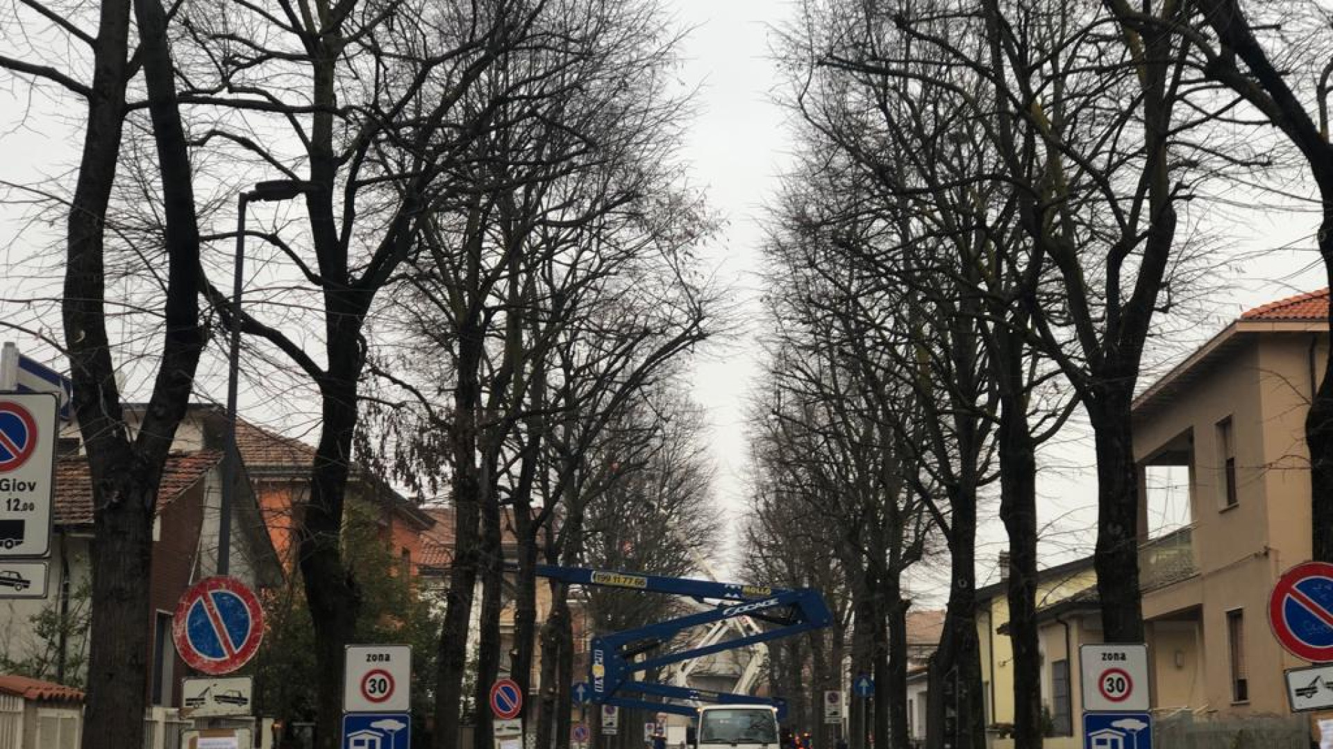 Concluso l'intervento alle alberature dell'Infrangibile. Lavori al Belvedere