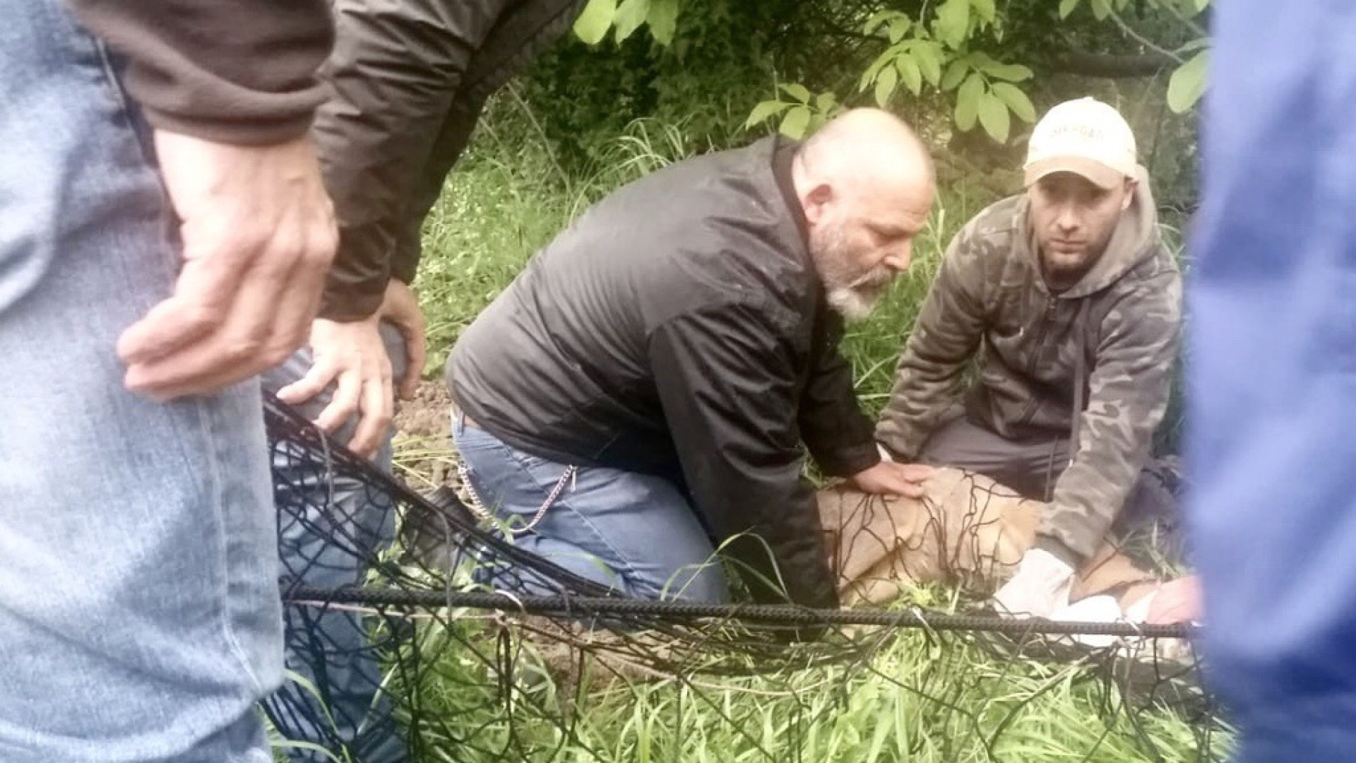 Caos a San Nicolò, capriolo in fuga tra le vie del paese. FOTO