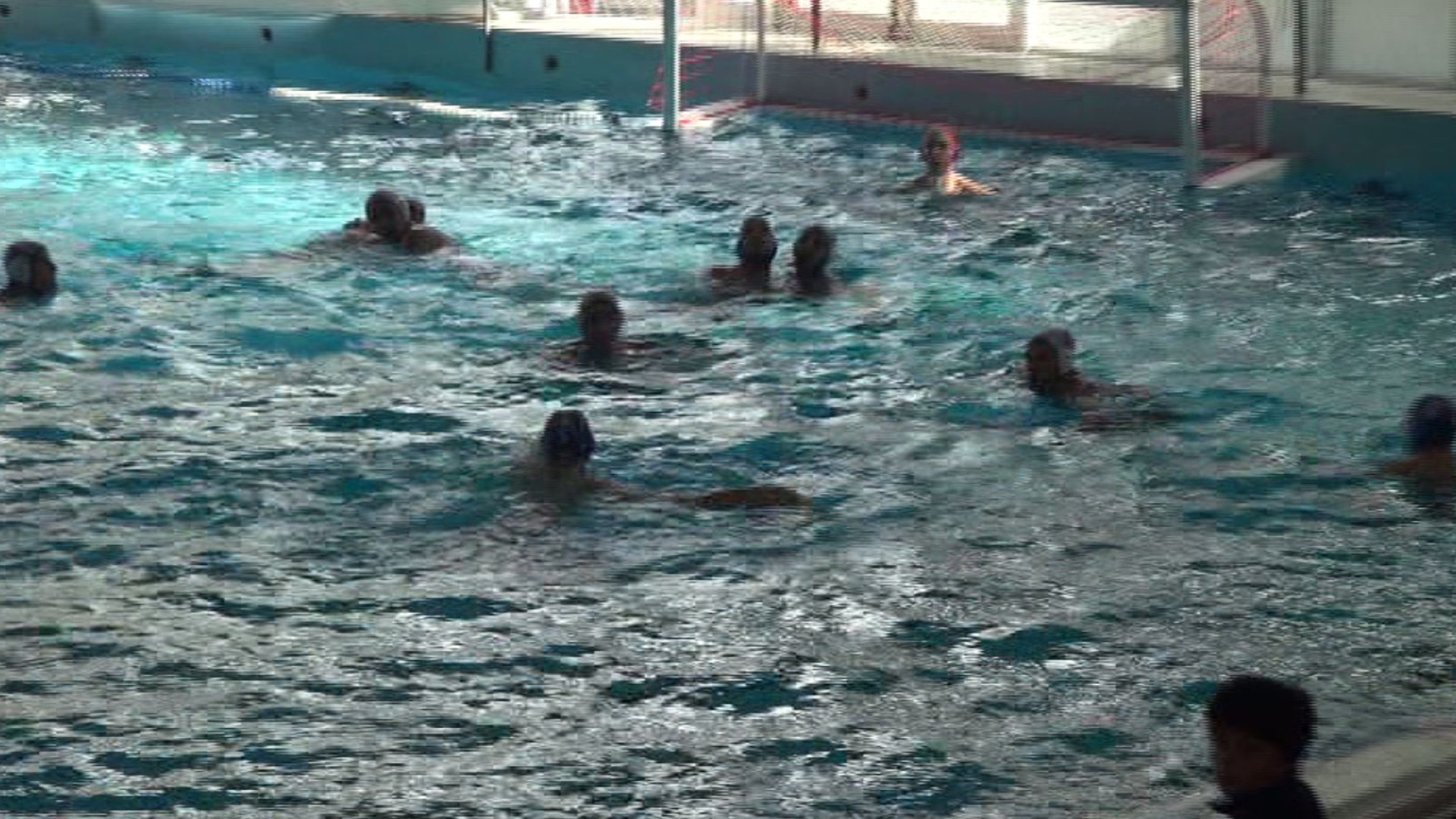 Pallanuoto Piacenza in final four. Cighetti: "Stufi di chiedere una nuova piscina"
