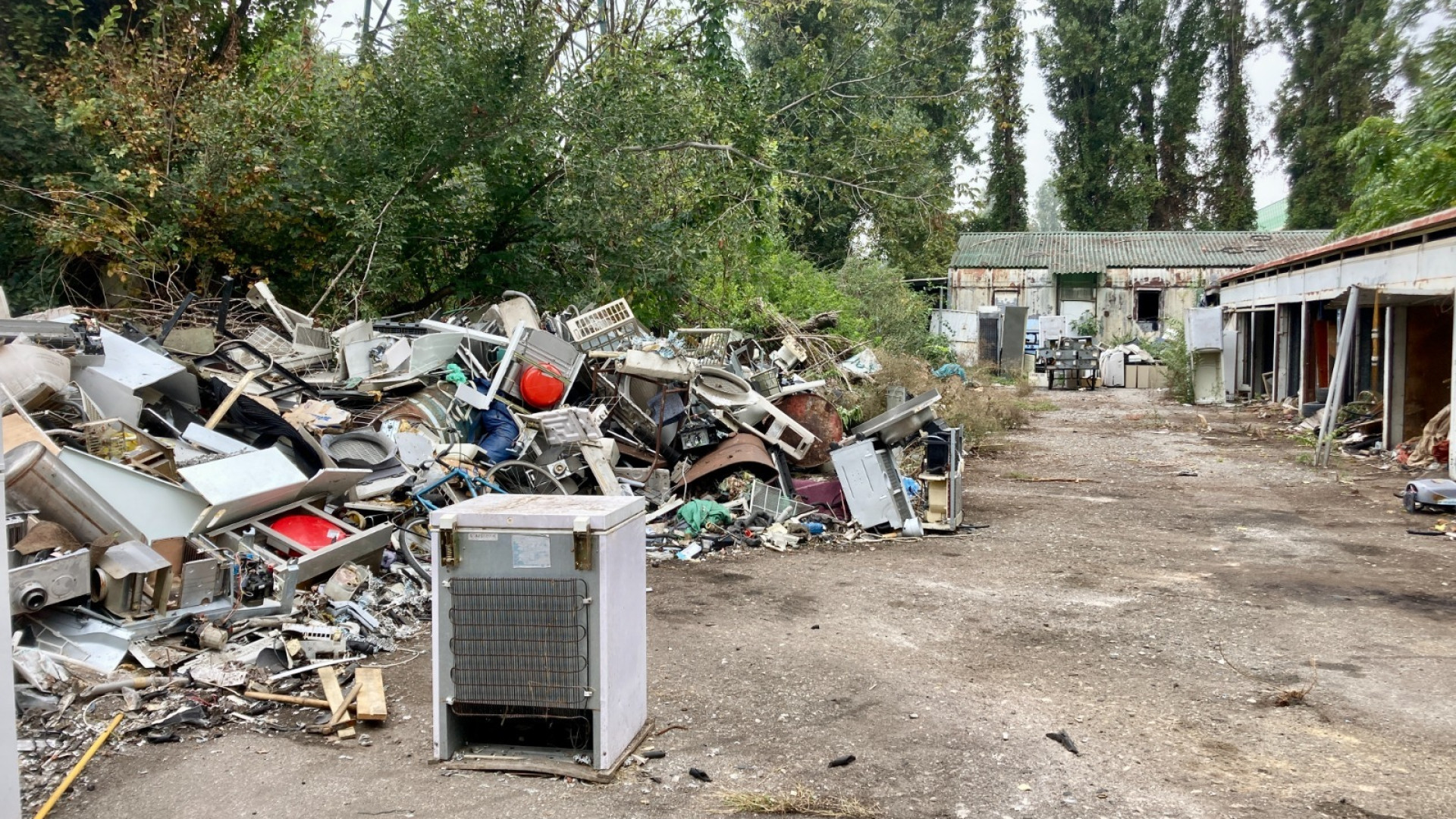 Trespidi: "Urgente la bonifica dell'area occupata sul lungo Po". Il Comune: iter in corso