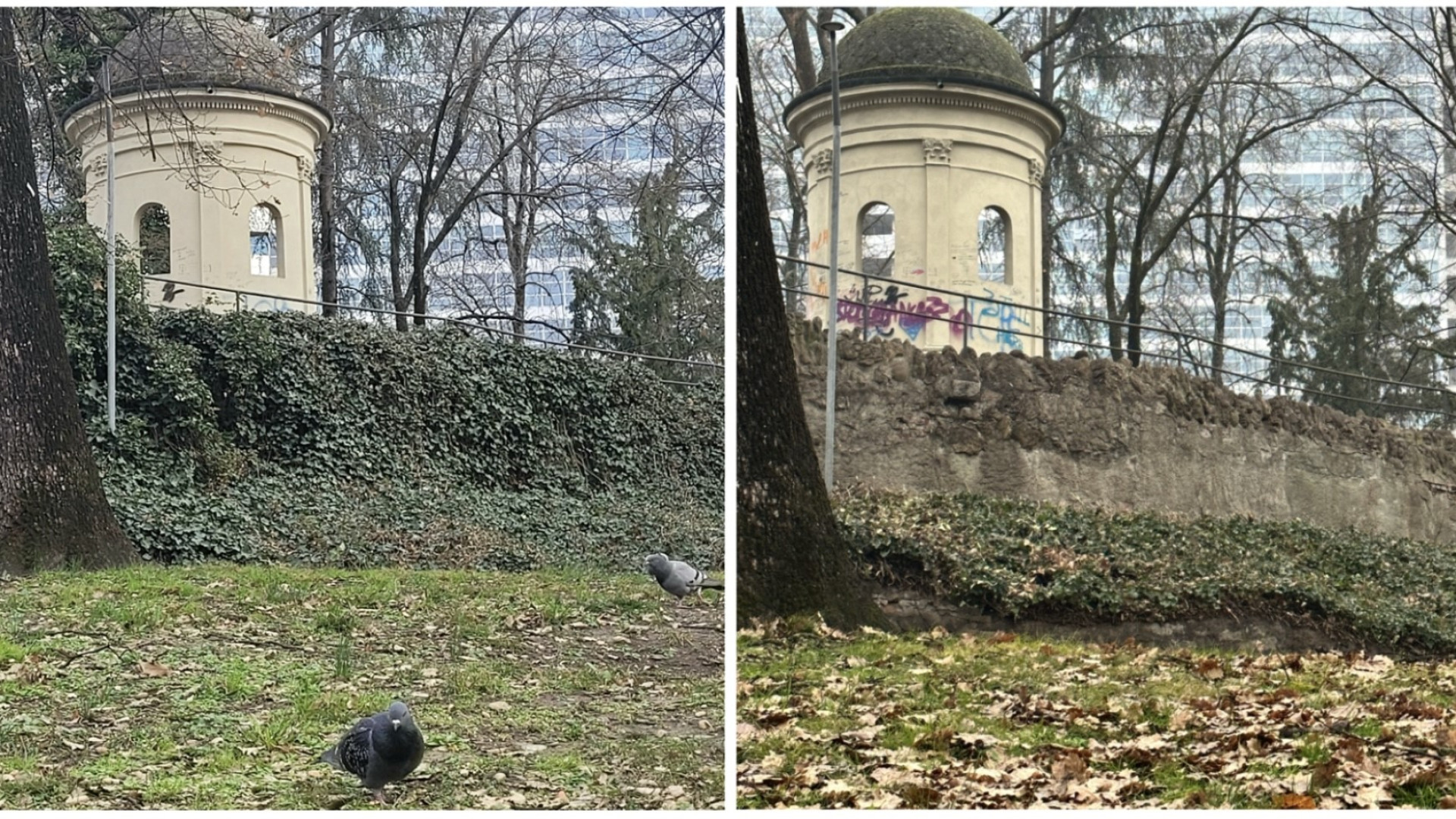 Giardini Margherita riaperti con un nuovo look: via l'edera dal tempio, ritornano i cedri