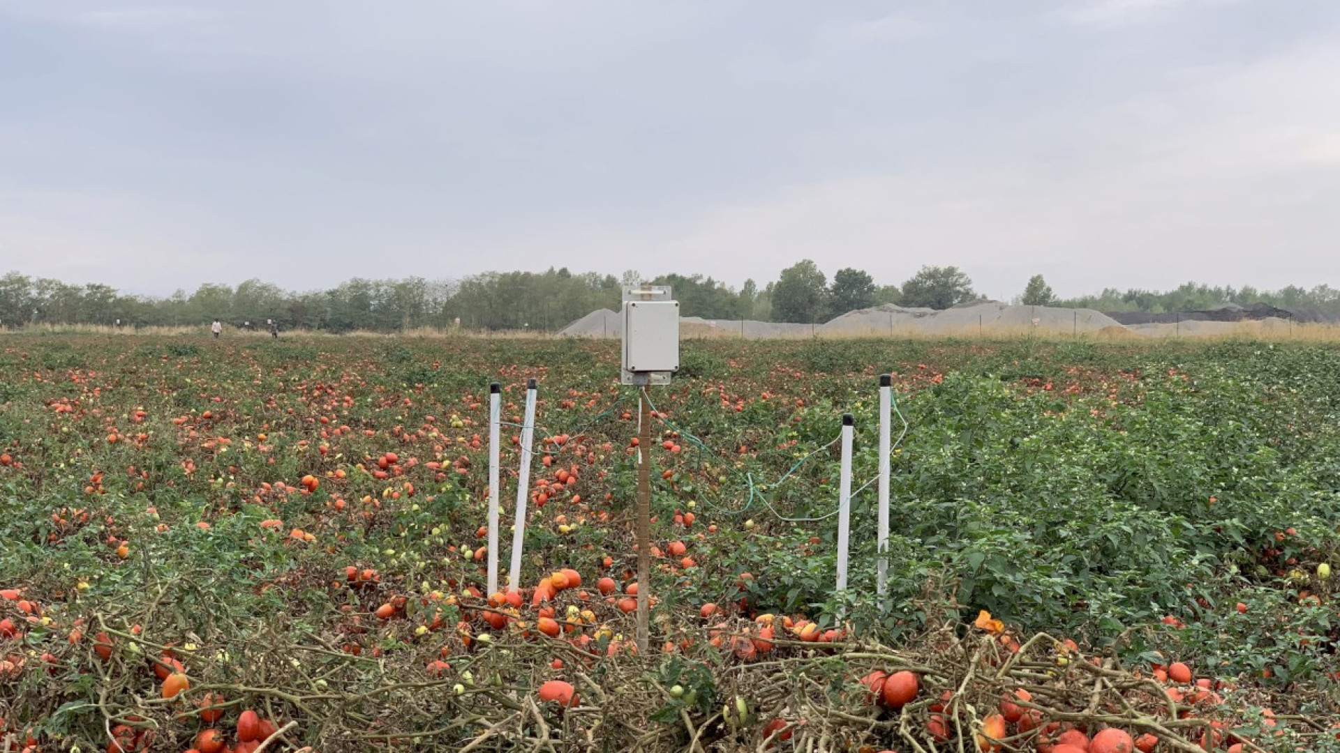 Efficienza e sostenibilità in campo, con il progetto di Nestlè e Steriltom