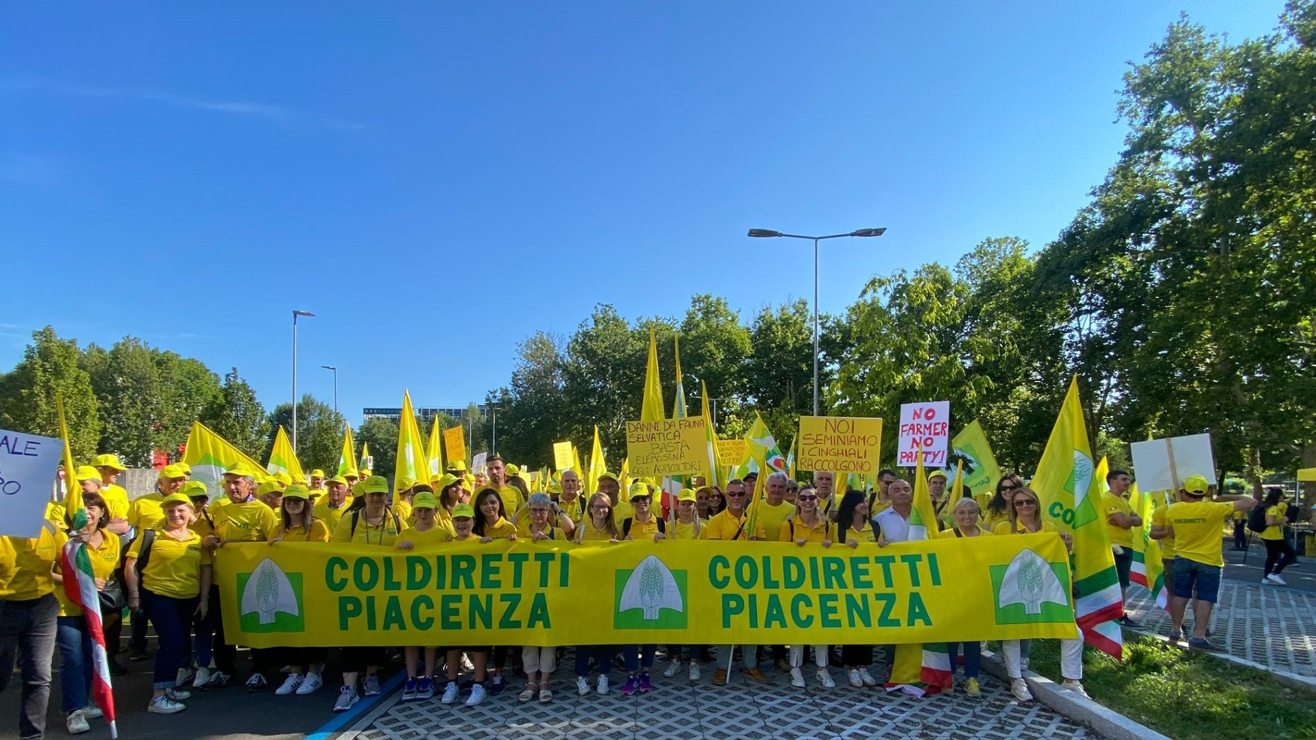 "I cinghiali sono un flagello", Coldiretti chiede un piano regionale di contenimento