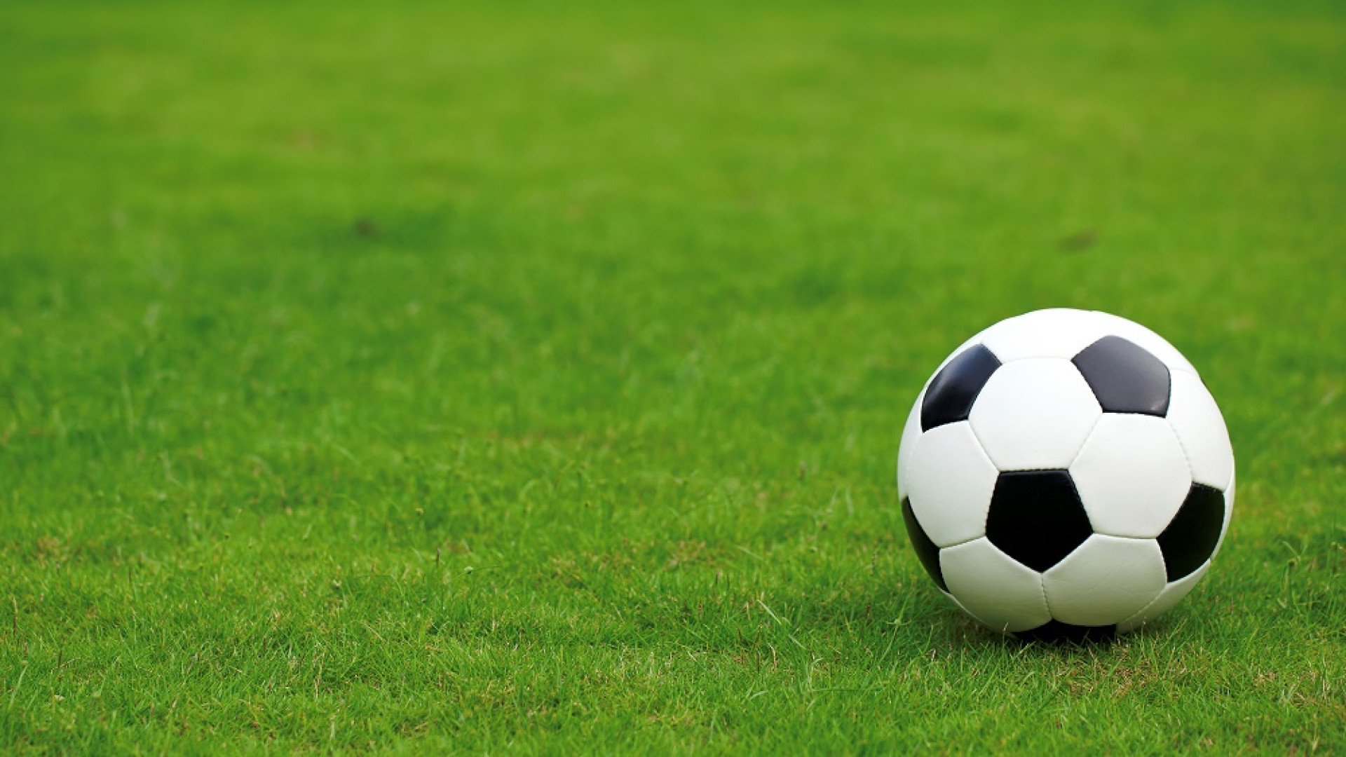Under 15, vergogna contro l'arbitro donna: "Campi di cotone e di concentramento"