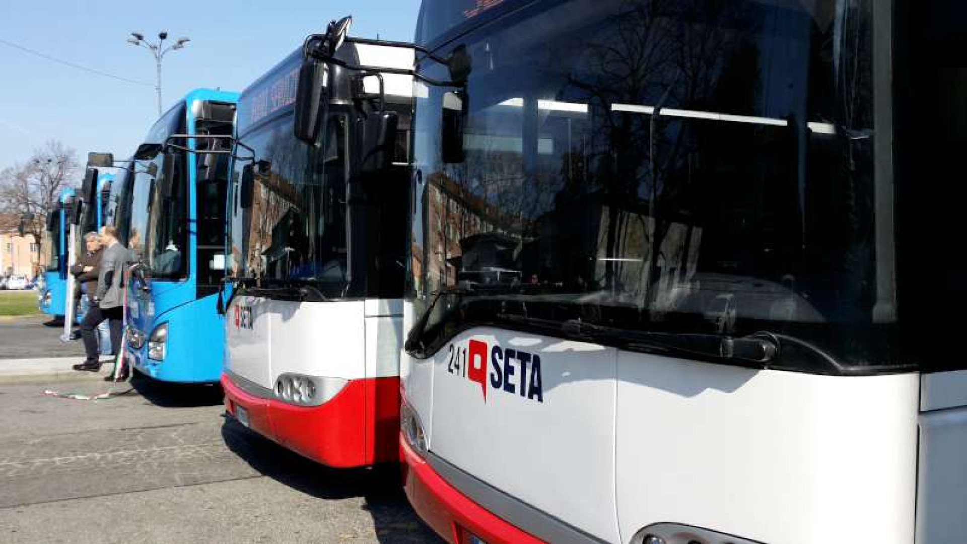 "Il cane sul bus deve avere la museruola": padrone sfonda la porta