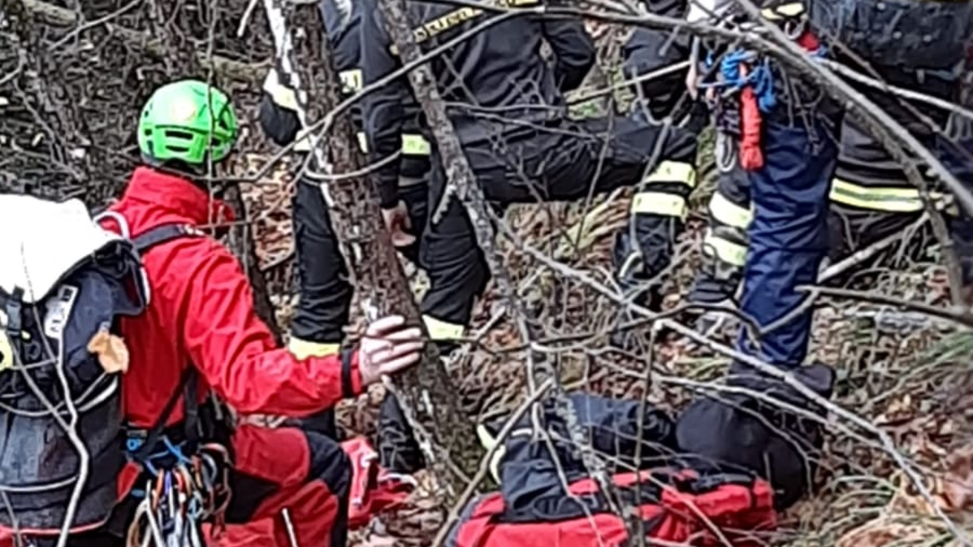 Cane precipita in un burrone. Mobilitazione per recuperarlo, ma non si salva