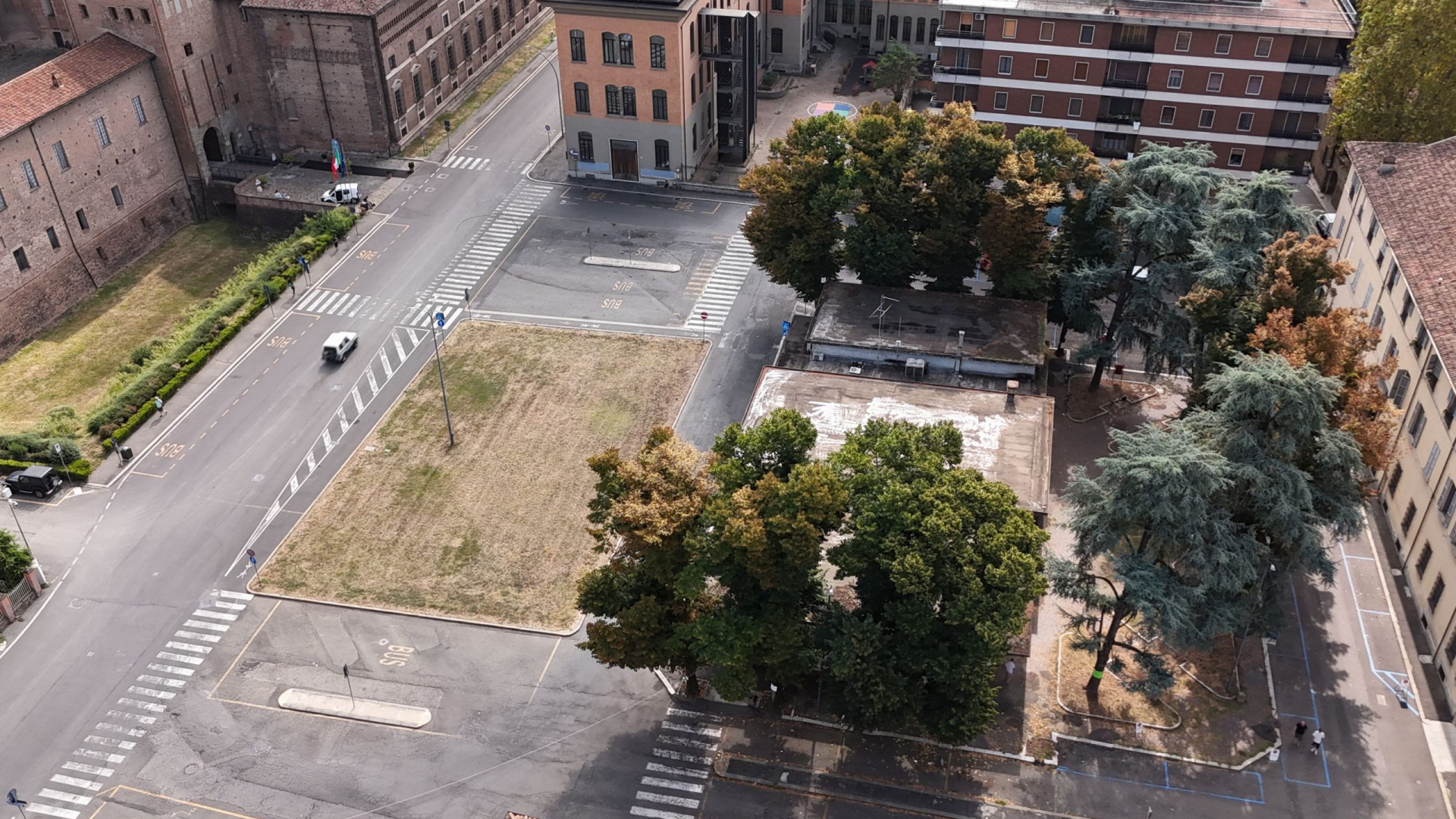 Salgono a 4.500 le firme contro l'abbattimento delle piante