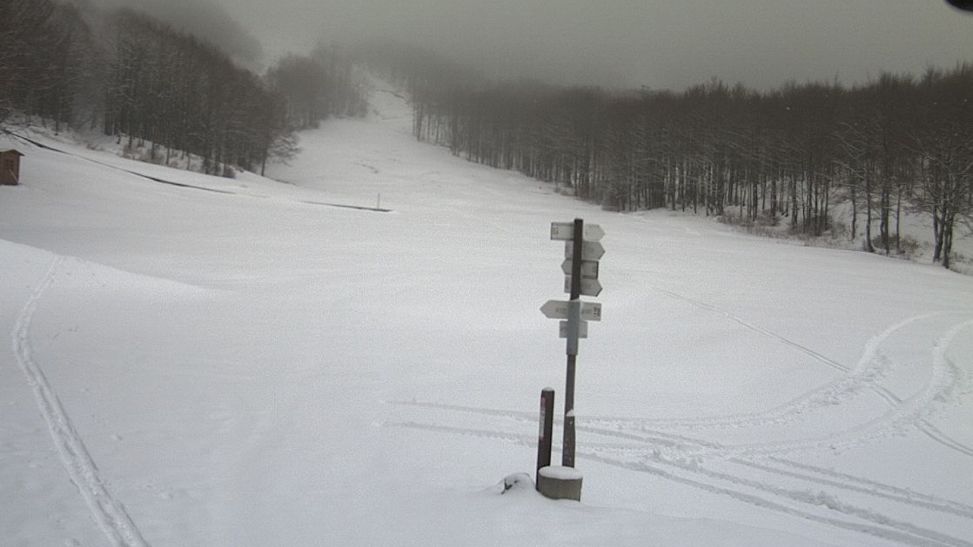Pioggia in città e neve in montagna. A Piacenza 17esimo sforamento di pm10 da inizio anno