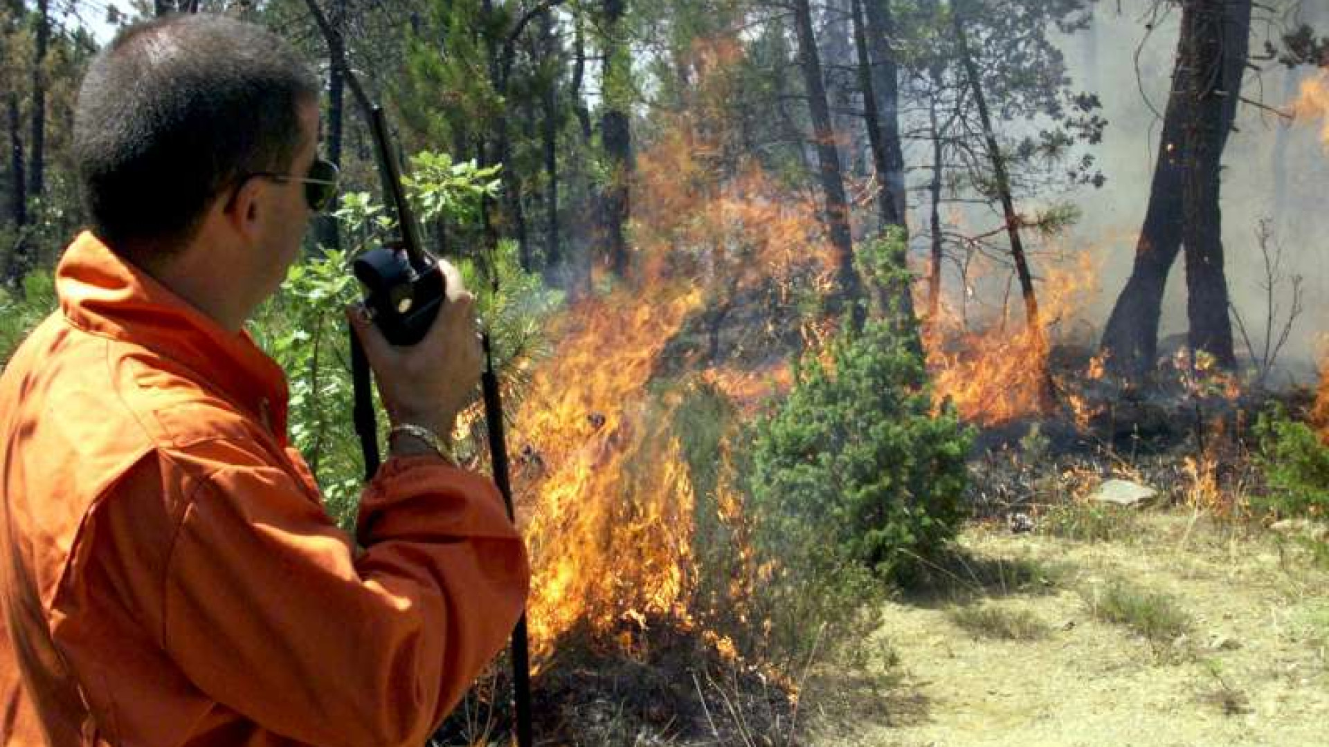 Contro gli incendi boschivi sensibilizzazione e controlli serrati
