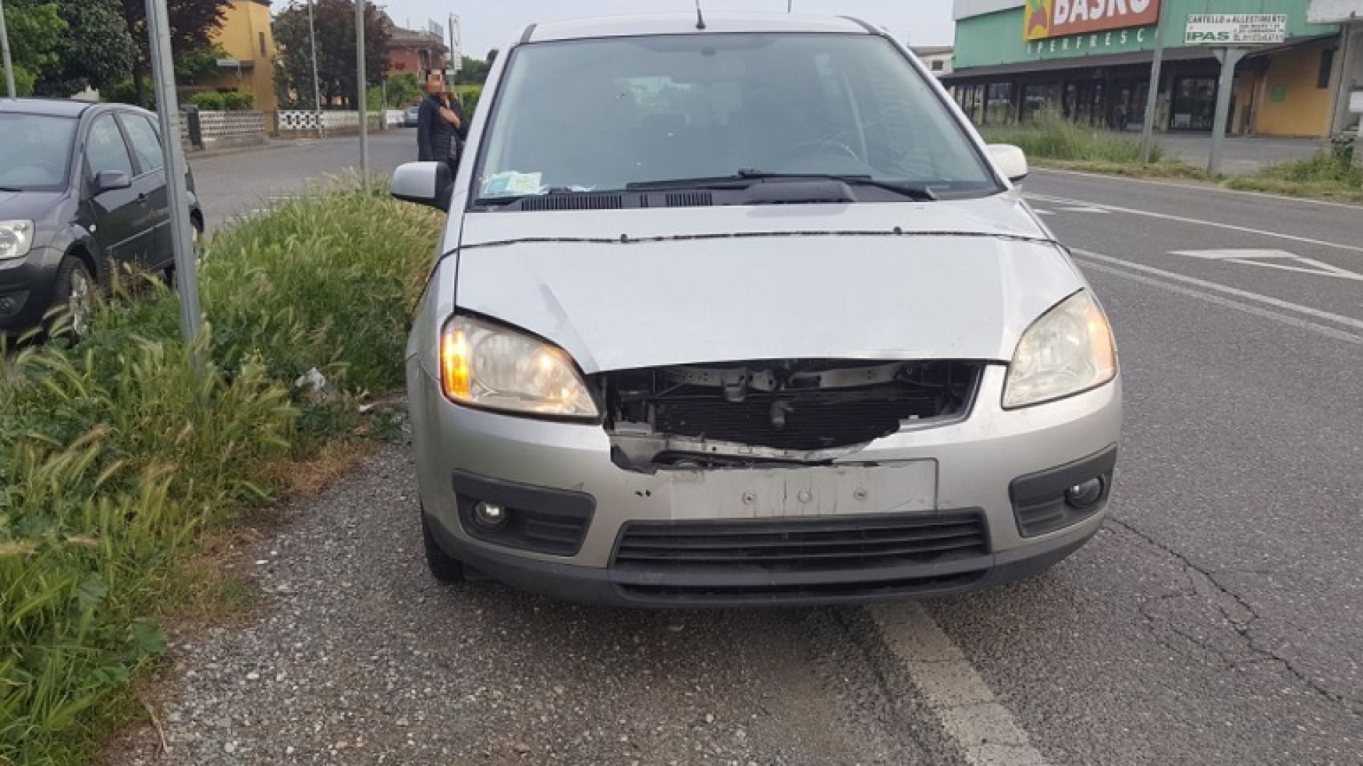 Capriolo sbuca sulla via Emilia tra la gente: investito da un'auto