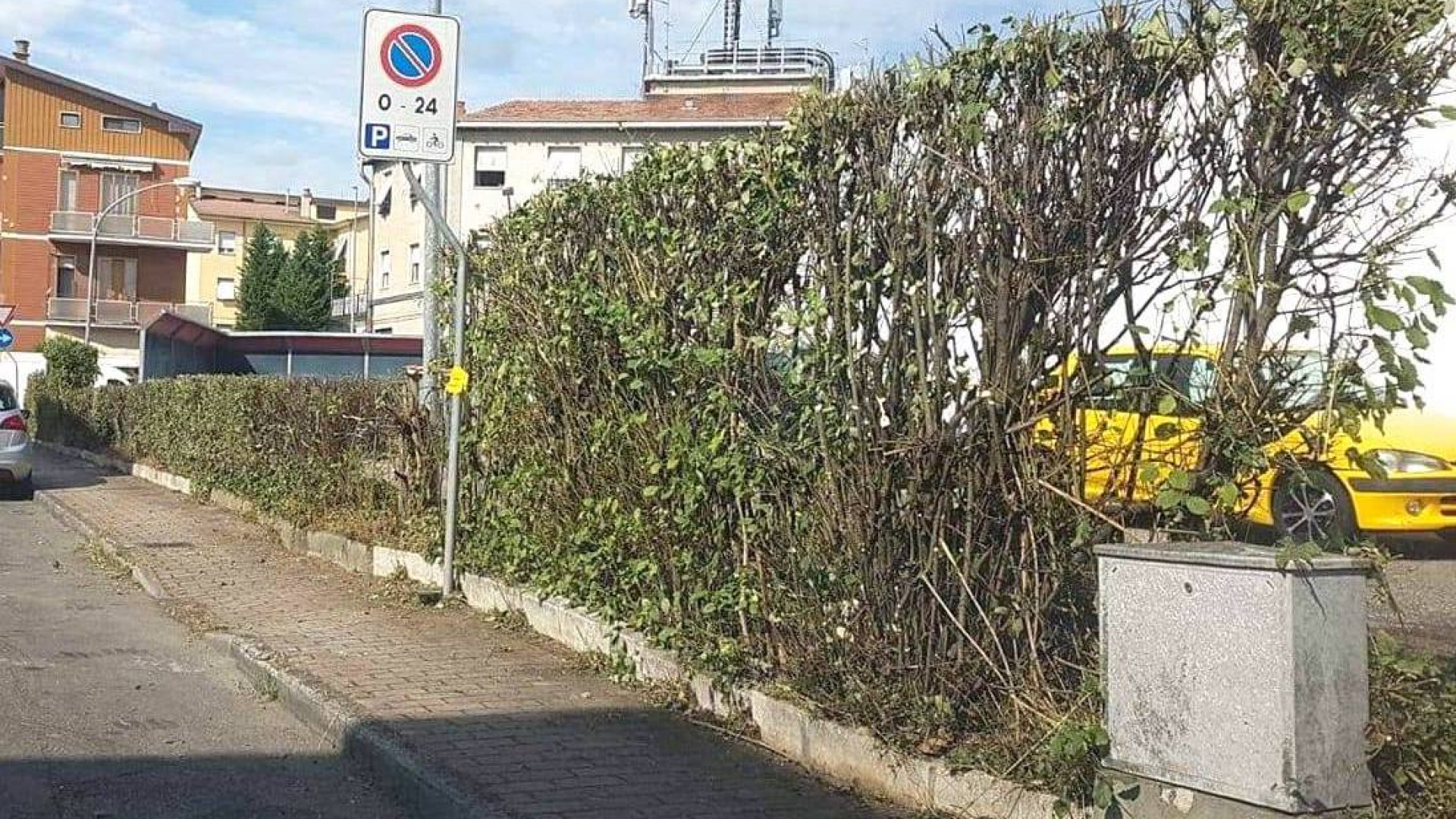 Via Ceva, il marciapiede torna libero: "Siepe potata dal proprietario"