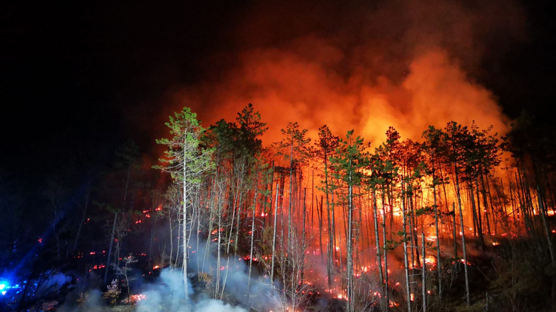 Bruciano ancora i boschi nel Piacentino: maxi incendio a Castelletto di Vernasca