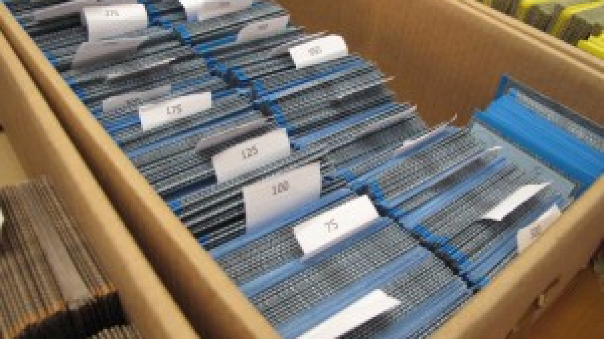 Elezioni politiche: vademecum al voto del 24 e 25 febbraio