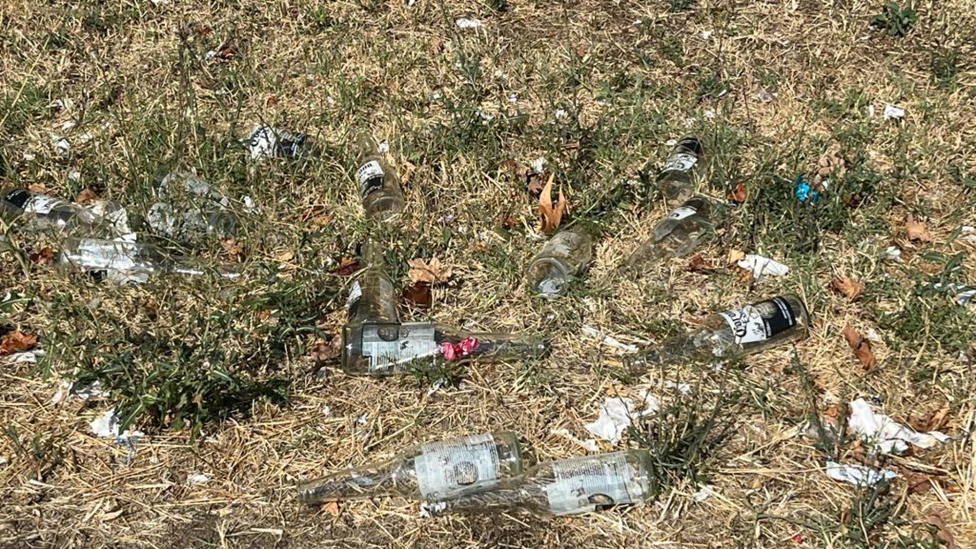 Bisce, rifiuti, biancheria: visitatori accolti dal degrado al cimitero di Piacenza