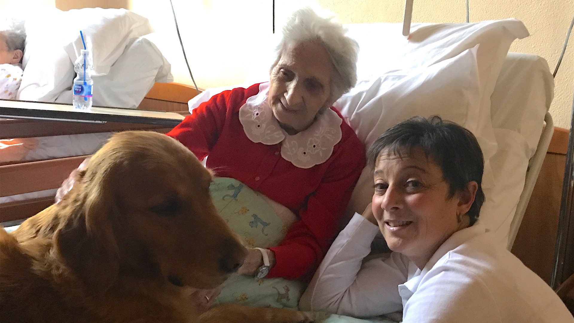 I "nonni" tornano a sorridere con gli amici a quattro zampe