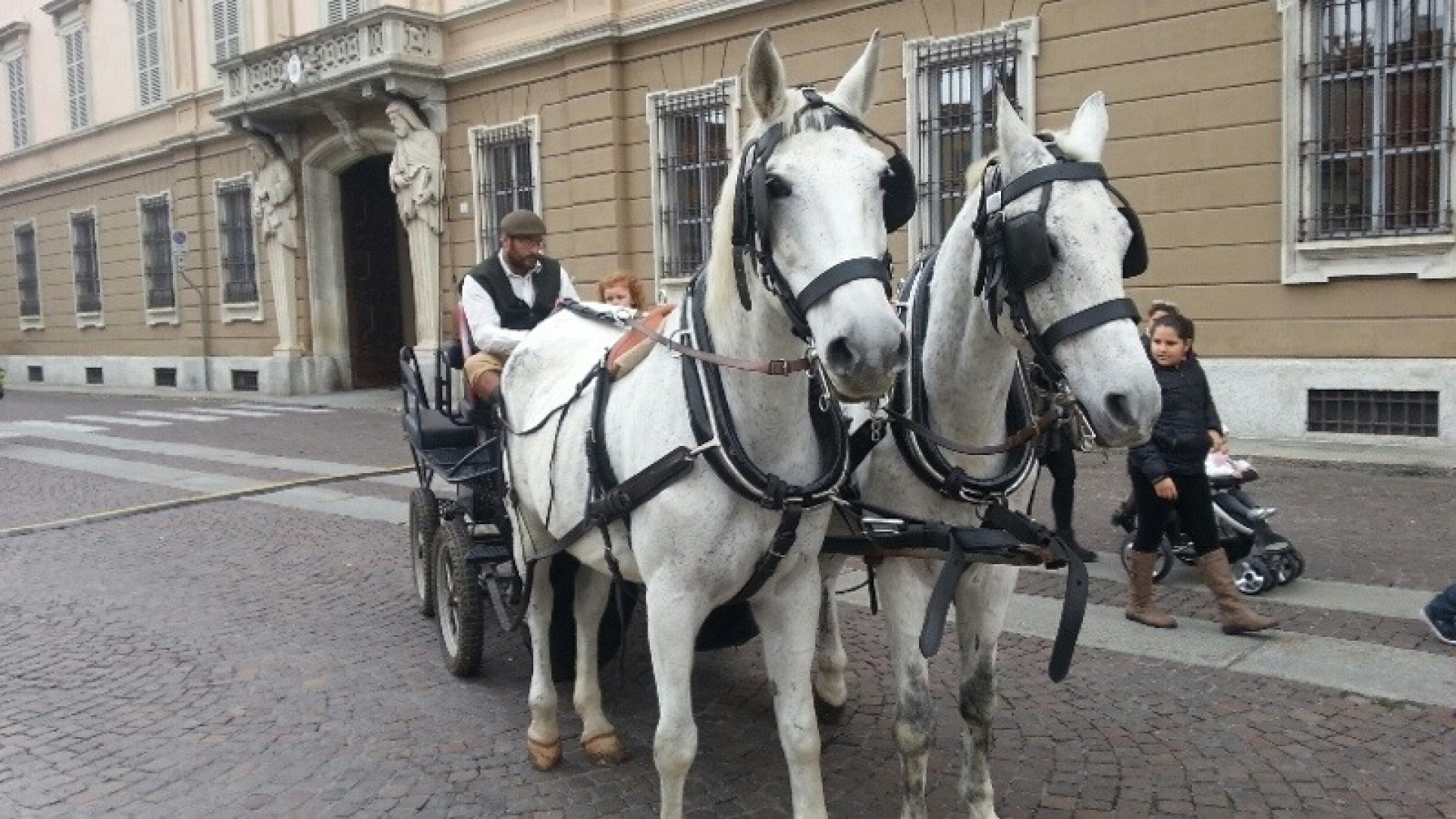 Pienone in centro storico: è scoppiata l'Estate di San Martino. Le foto