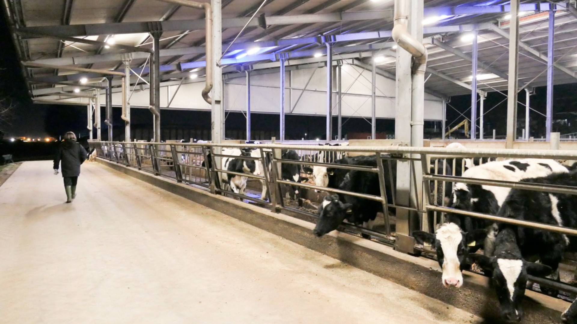 Terzo furto di trattori: dalle campagne di Bardoneggia sparisce mezzo da 80mila euro