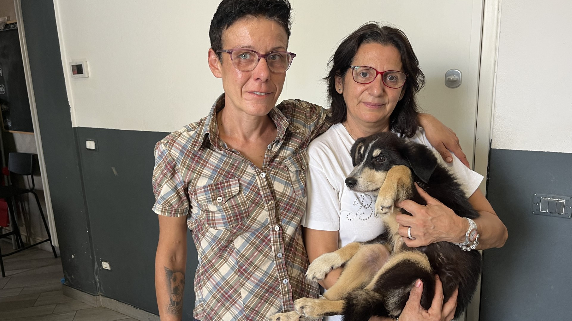 "Faremo di tutto per salvare Dylan". Cucciolo di cinque mesi maltrattato e denutrito