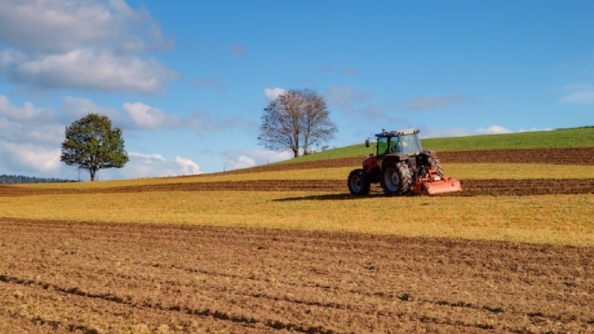 Le eccellenze agricole piacentine nella prossima puntata di Mela Verde