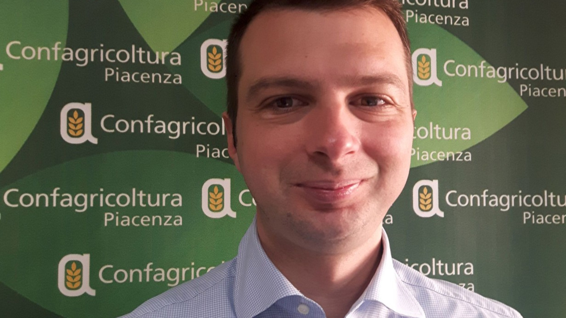 Lattiero caseario in crisi: Confagricoltura Piacenza: "Prevedere un piano mais"