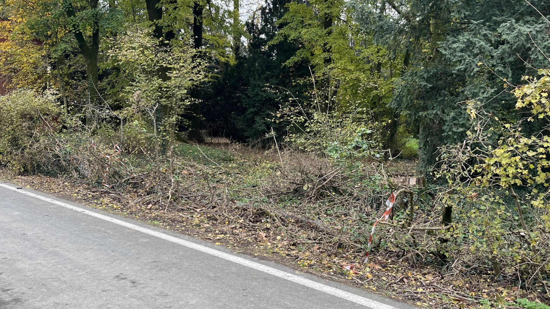Villa Verdi a Sant'Agata, ancora giù le recinzioni e giardino fitto di sterpaglie