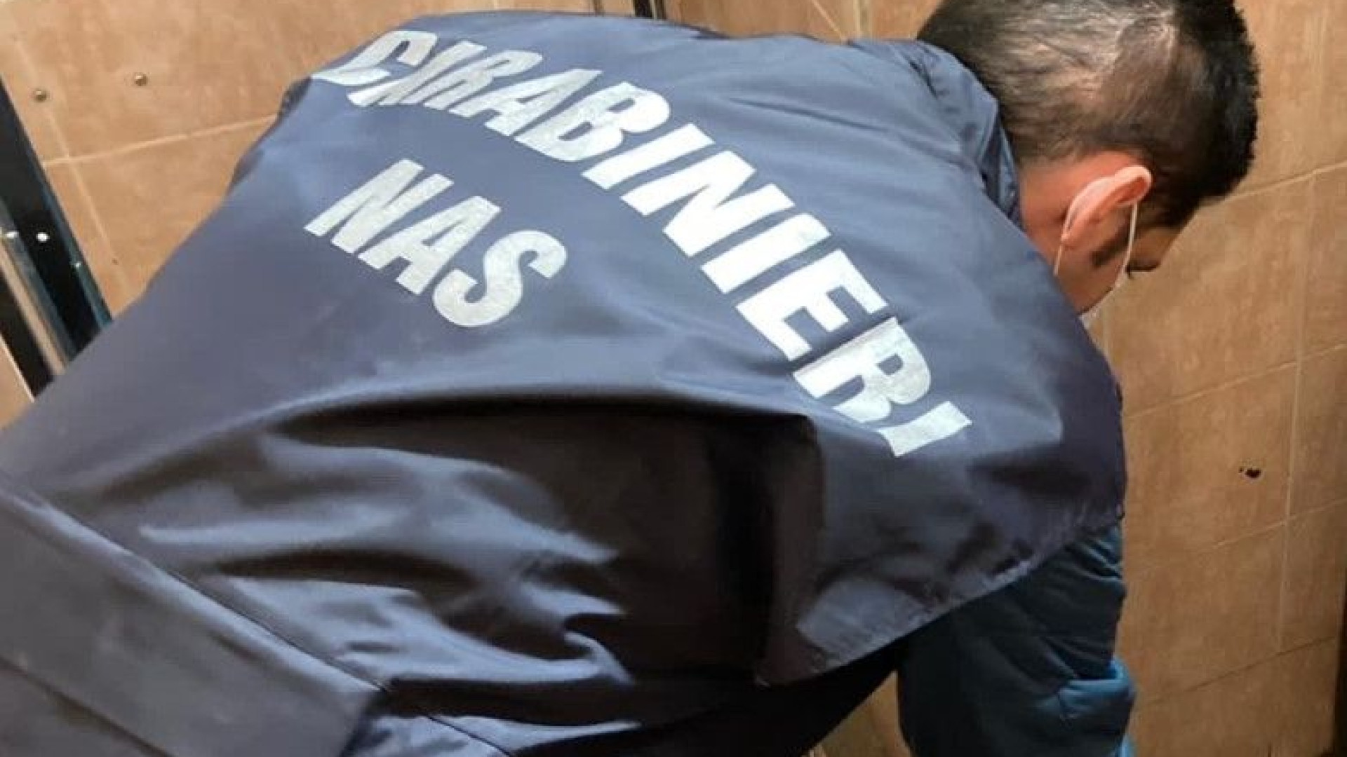 Green pass obbligatorio: 19 piacentini segnalati dai carabinieri del Nas