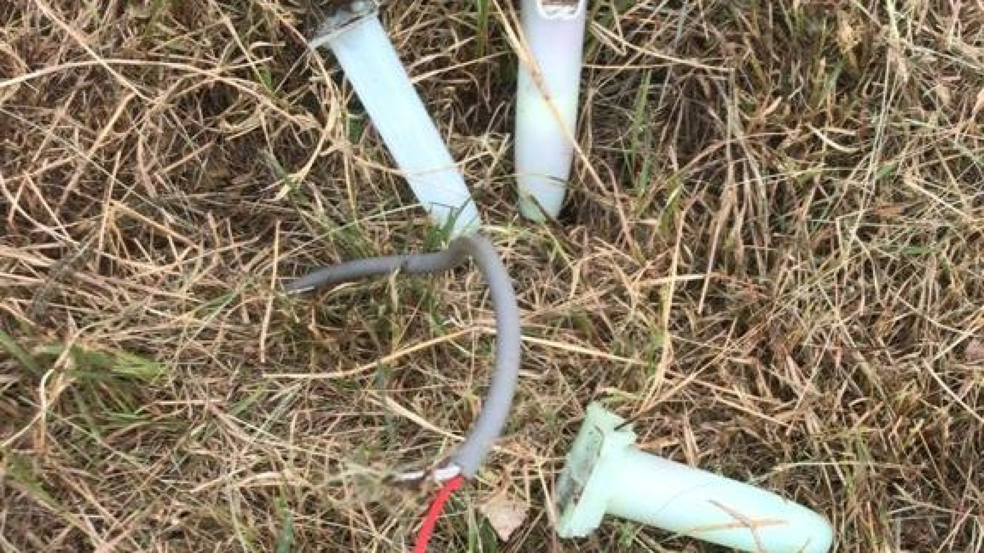 Cinghiali e vandali al Golf club di Cortina di Alseno, 60 varchi nella recinzione